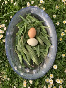 342973273 777095097215128 8445716438838710272 n