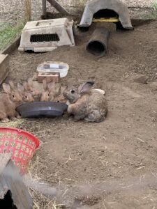 394557190 272425662445509 5317384316534257518 n