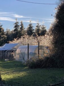 420177621 320805854274156 4066823167401359646 n